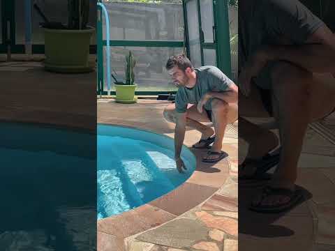POV: les darons et leur obsession pour la piscine #humour #pourtoi #sketch