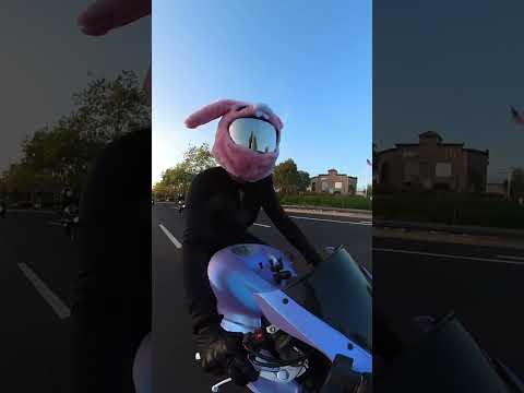 Don’t forget to secure your phone people🙃#motorcycle #motogirl #hondacbr600rr #bikelife #bikergirl