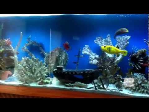 marine aquarium 3 code