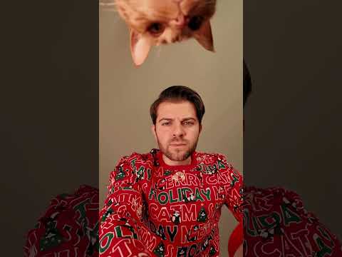 I vostri gatti lo amano o lo odiano? 🎄😻 #cat #gatto #catlover #natale