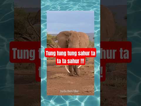 Tung tung tung sahur ta ta ta sahur‼️#anomali #tungtungsahur #brainrot #meme #bismillahfyp