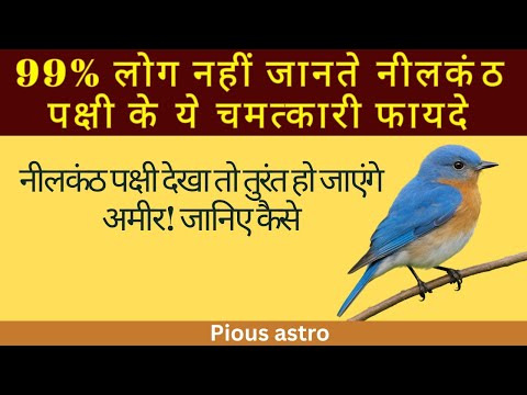 नीलकंठ पक्षी देखा तो तुरंत हो जाएंगे अमीर! जानिए कैसे,