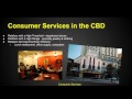 Urban Dynamics in Central Business Districts
