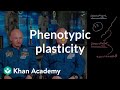 Understanding Genotype and Phenotype