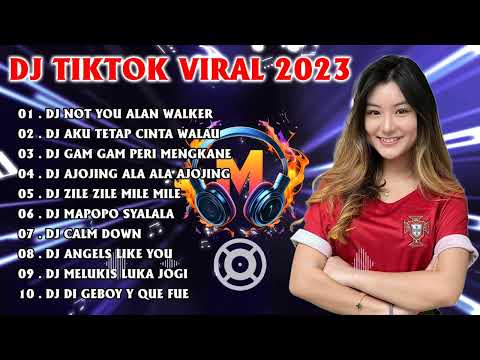 DJ TIKTOK TERBARU 2023 - DJ TIKTOK REMIX PALING DI CARI - DJ FULL BASS 2023 VIRAL