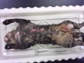 Skinning Procedure Techniques and Tips