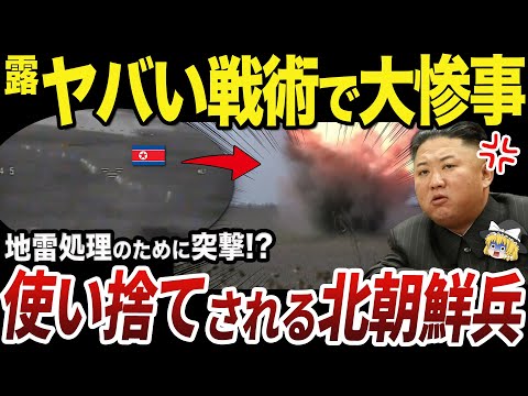 【ゆっくり解説】クルスク州で人間地雷探知機として活用される北朝鮮兵たち