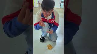 The FASTEST way to MAKE SUNFLOWER SEED! #shorts #mingweirocks