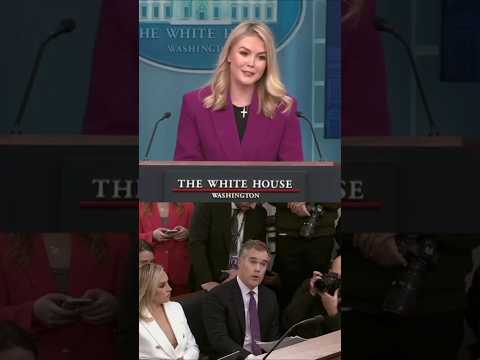 Karoline Leavitt Decimates Reporter