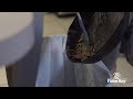 FOG Disposal and Management Practices