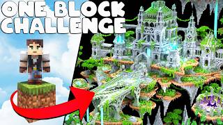 The Ultimate SKYBLOCK World Built with NO MODS!