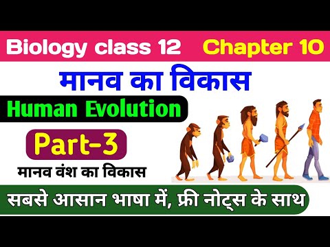 Biology class 12 chapter 10 | मानव वंश का विकास | manav vikas 12th biology | human evolution hindi