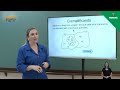 Understanding Rational and Irrational Numbers