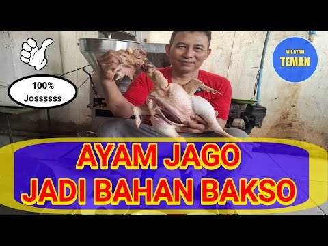 RESEP MEMBUAT BAKSO DENGAN BAHAN AYAM JAGO #tutorialmasak #bakso #mieayamteman