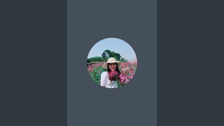 THÔN VIỆT PG đang phát trực tiếp!