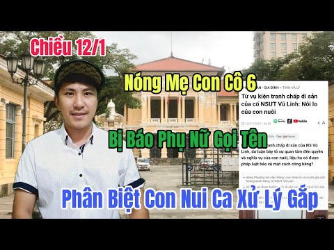 Chiều 12/1 Nóng Mẹ Con Cô 6 Nhận Tin Dữ Báo Chí Lên Án Phân Biệt Con Nuôi Ca Xử Lý Gắp