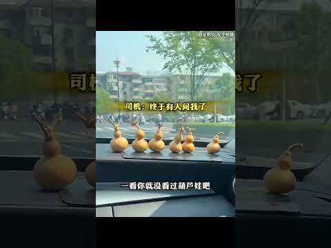 那些无法超越的司机对话，这不去说相声太可惜了