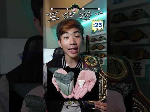 คลิปปริศนา ถ่ายติด เมกาโลดอน? #saysci #สาระ #ความรู้ #เรื่องเล่า