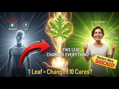 This ONE Leaf Can Fix 10 Health Problems Backed by Science!