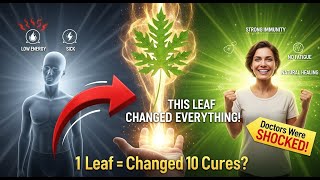 This ONE Leaf Can Fix 10 Health Problems Backed by Science!