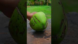 Korean style cutting coconut #fruit