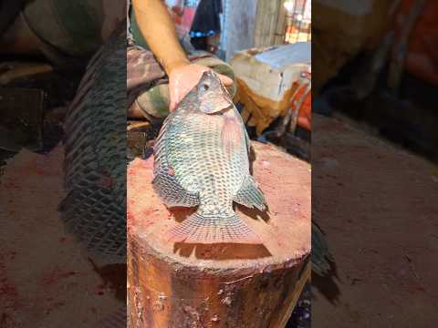 Amazing Big Tilapia Fish Cutting Skills Live In Fish Market78#shorts
