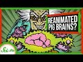 Neuroscience and Ethical Implications of Reviving Brain Activity