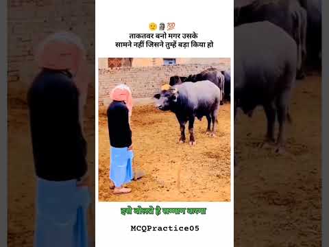 Aadar Karna #respect #farmer #village #emotional #animals #motivation #buffalo #shorts #video