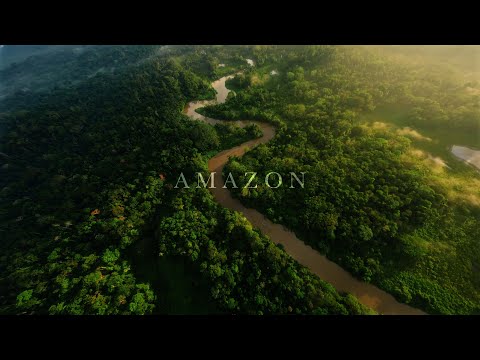 Sunrise drone flight deep in the Amazon Rainforest | Ecuador FPV