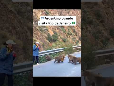 ?? Humildes irmãos brasileros fazendo o arrastão. ??