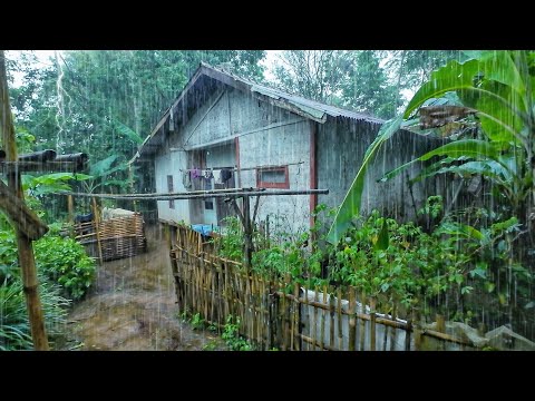 INTIP LAGI AH !! Suasana Hujan Di Kampung Yang Indah, Udaranya Dingin Juragan, Pedesaan Jawa Barat