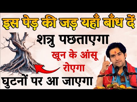 इस पेड़ की जड़ यहाँ बाँध दो – शत्रु मरेगा एक रात में | Shatru Mukti Upay | Vedic Drishti