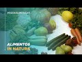 Alimentação Saudável e Sustentável