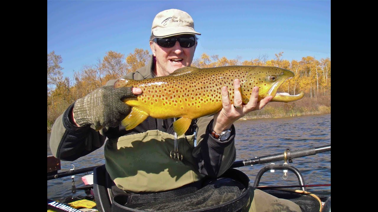 Trophy Trout in Stillwaters - Russell Inn Manitoba - The New Fly Fisher