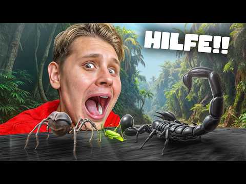 Überlebe ich 24 STUNDEN nur INSEKTEN essen?😰(Skorpione Spinnen essen)