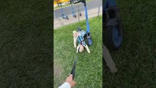 LEVEI O SLINK NO PARQUE