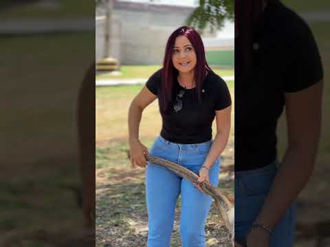 A Gê, e a surra no esposo!😱😂🤣 #humor #videosengracados 