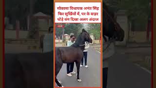मोकामा विधायक अनंत सिंह फिर सुर्खियों में, घर के बाहर घोड़े संग दिखा अलग अंदाज #anantsingh #viral
