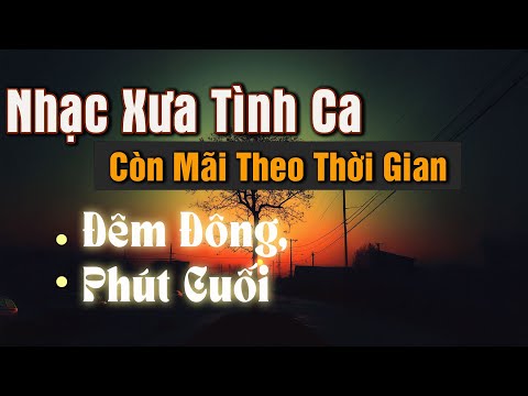 Tình Khúc Xưa Sài Gòn – Ai Cũng Phải Nghe Một Lần - Giai Điệu Tình Ca Lãng Mạn – Tâm Trạng Nhẹ Nhàng