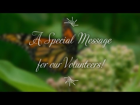 A Special Message to our Volunteers