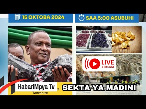 #LIVE: MJADALA MZITO KUHUSUI SEKTA YA MADINI MUDA HUU