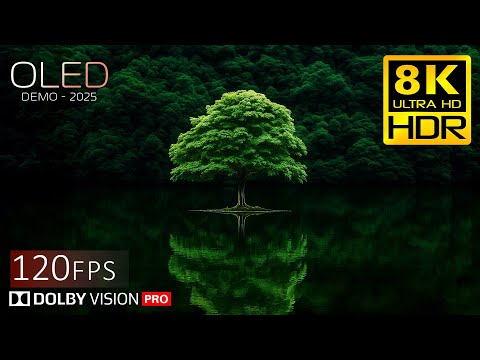 NEXT-LEVEL 8K HDR Dolby Vision™ Benchmark | This Will Challenge Your Screen (120 FPS)