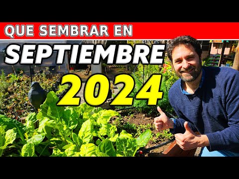 Calendario de Siembra 2024: Que sembrar en SEPTIEMBRE en el Huerto de Verano y de Invierno