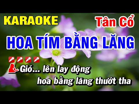 Hoa Tím Bằng Lăng Karaoke Tân Cổ – Song Ca Thanh Tuấn Thanh Kim Huệ | Hoài Phong Organ