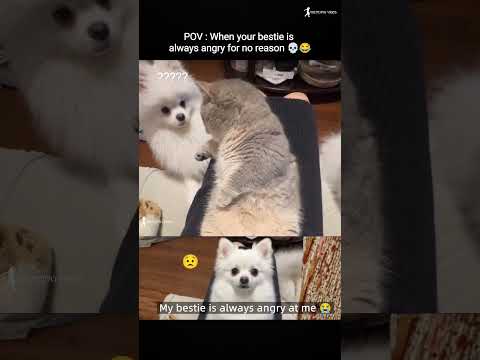 ๐My Bestie Is Always Angry at Me ๐ญ๐ #trending #viralvideo #funnyvideo #bestie #shorts