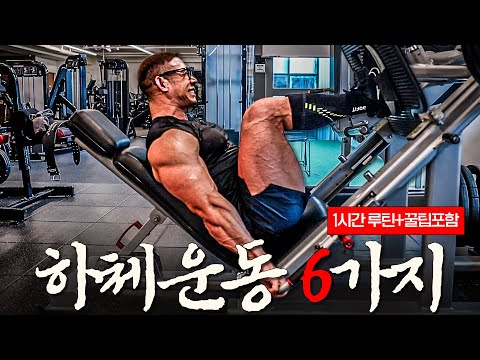 하체운동 이 6가지 안하면 절대 두꺼워질 수 없습니다!