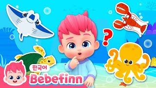 166화 | 바다 거북🐢, 바닷 가재🦞, 문어🐙! | 바다 동물 따라 해 봐요! | 베베핀 동물 동요 | 베베핀 Bebefinn - 키즈 인기 동요