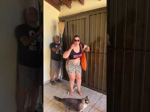 #shorts