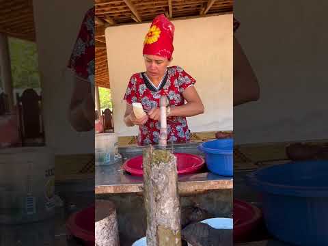 A cumade descascando a macaxeira pra fazer caldo de ovo