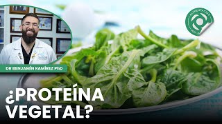 Platos sin proteína animal: Cómo evitar errores comunes 🌱🍽️